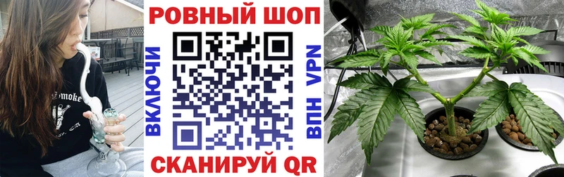 МЕФ Неман