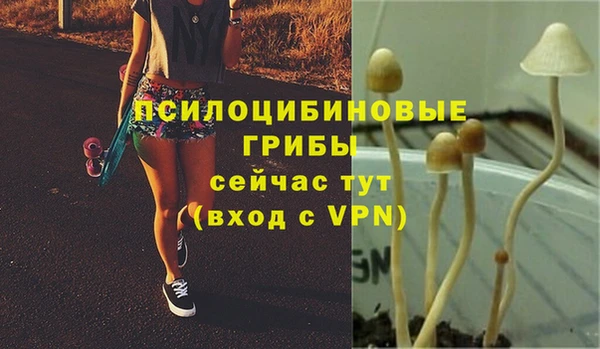 героин Ладушкин