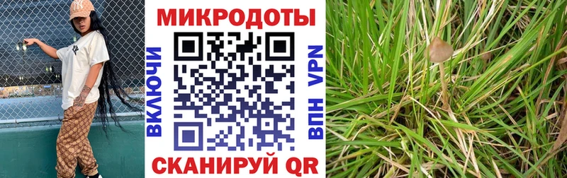 Галлюциногенные грибы ЛСД Неман